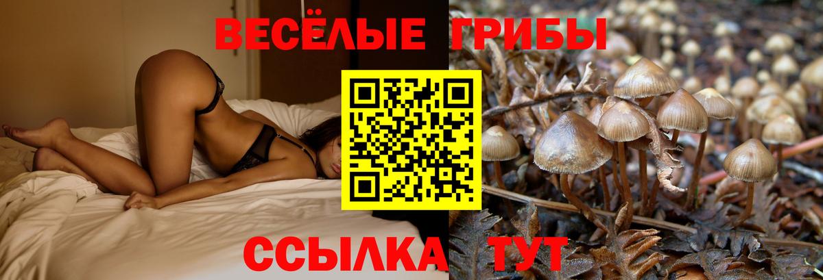 Псилоцибиновые грибы Magic Shrooms  Вход с VPN  Верхняя Пышма 